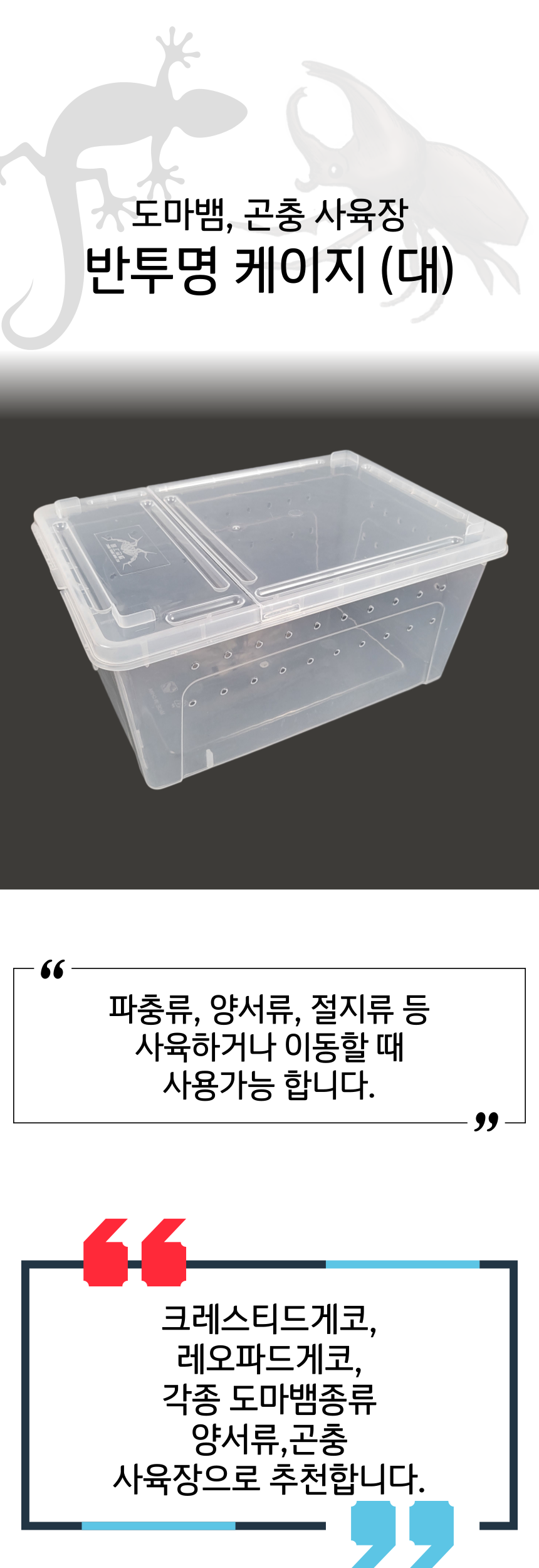 크레스티드 게코 거북이 도마뱀 사육장, 반투명, 대형, 1개 상세 이미지 1