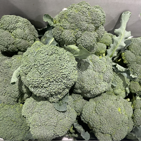 대박농수산 제주 햇 브로콜리, 특품, 1kg, 1박스