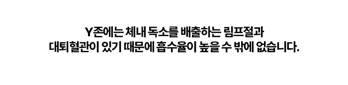 블룸미 러브 페미닌 Y 미스트, 100ml, 1개 상세정보 69