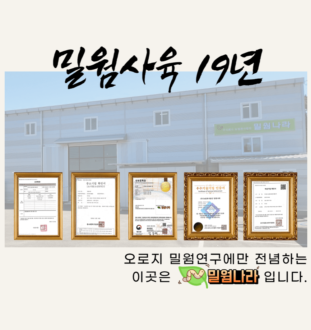 밀기울 - 밀웜(고소애) 먹이 / 각종 곤충먹이, 1kg + 1kg 상세 이미지 6