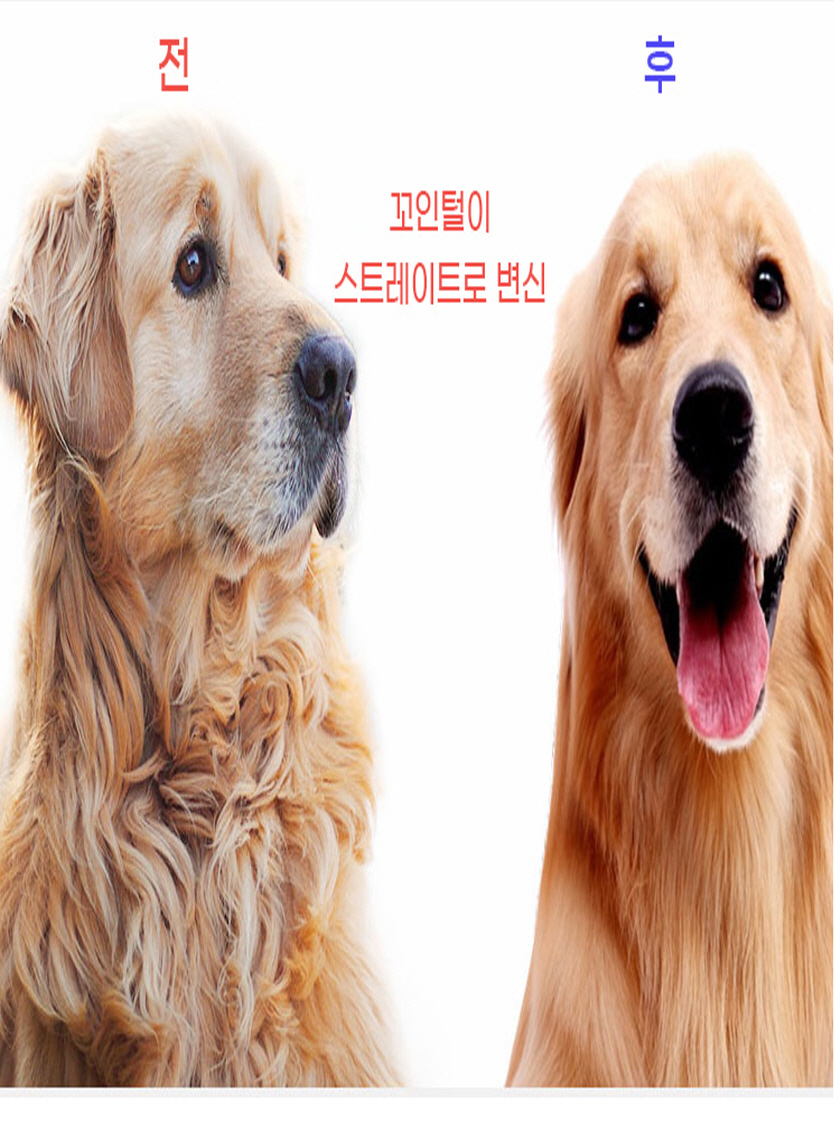 애견 오픈 빗, 블루, 1개 상세 이미지 5