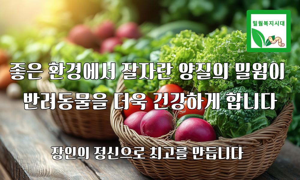 살아있는 밀웜 반려동물 먹이 극소 100+100, 밀웜,극소 0.3-0.8cm, 300+300마리 상세 이미지 1