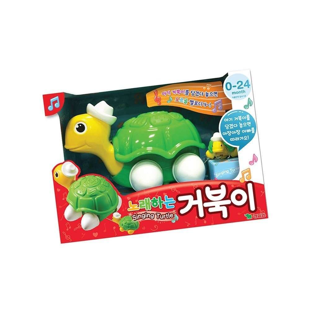 노래하는 거북이 사운드 장난감, 1개