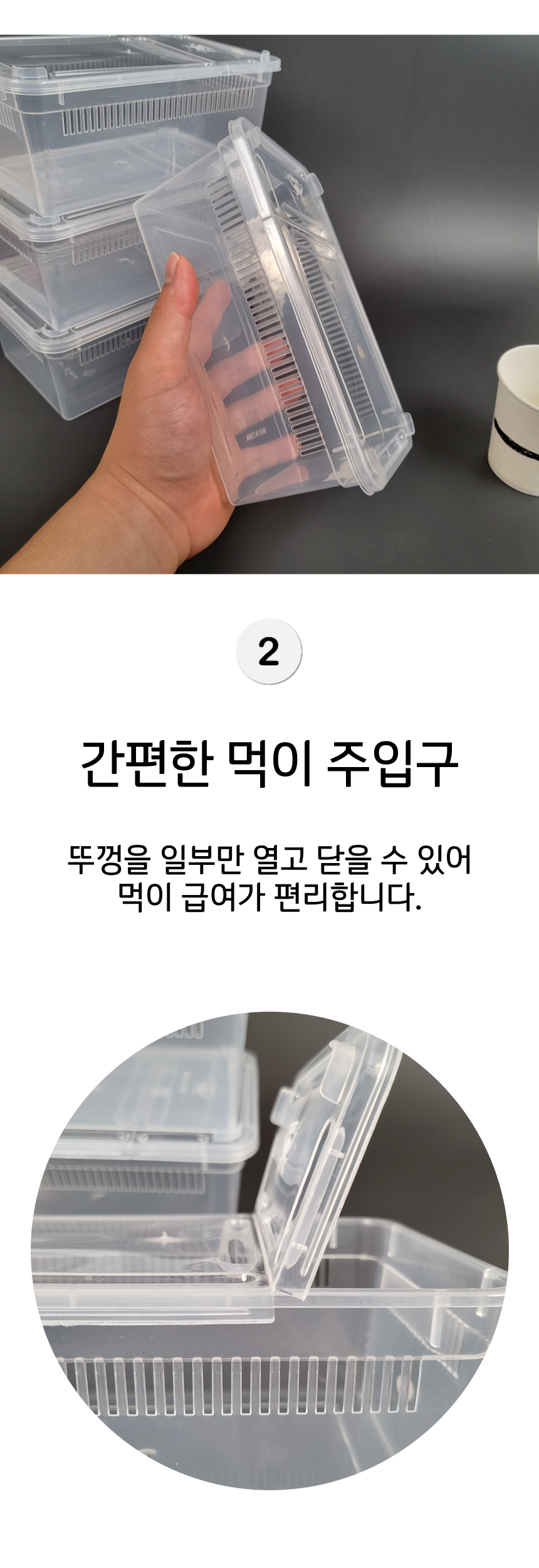 하루이오 파충류 크레스티드 게코 도마뱀 사육장 H9, 중형 상세 이미지 3