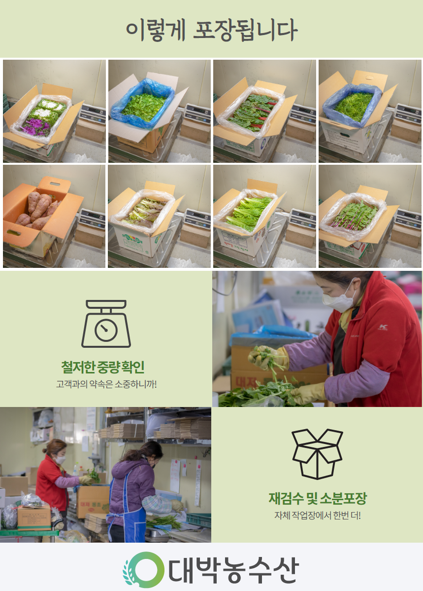 대박농수산 제주 햇 브로콜리, 특품, 1kg, 1박스
