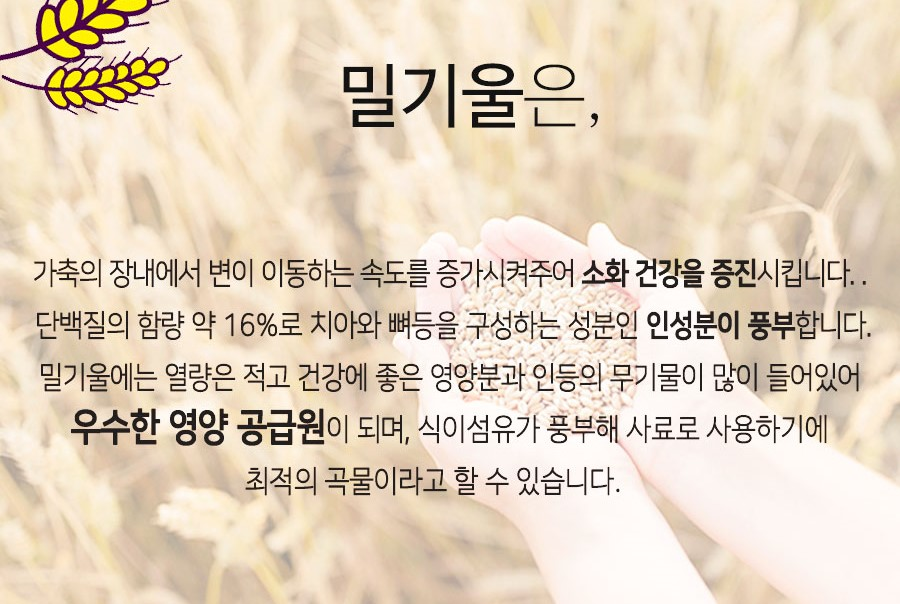 밀기울 - 밀웜(고소애) 먹이 / 각종 곤충먹이, 1kg + 1kg 상세 이미지 3