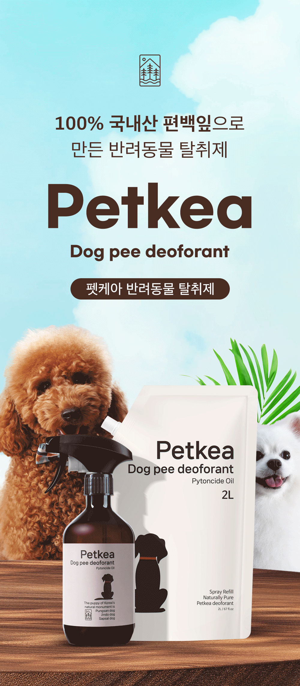 펫케아 강아지 탈취제 피톤치드 천연 스프레이, 공병, 4L, 1개 상세 이미지 2