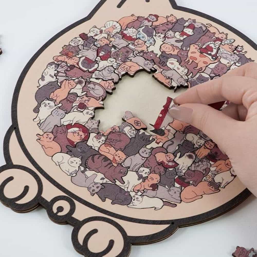 고양이 퍼즐, 모란디, 1개