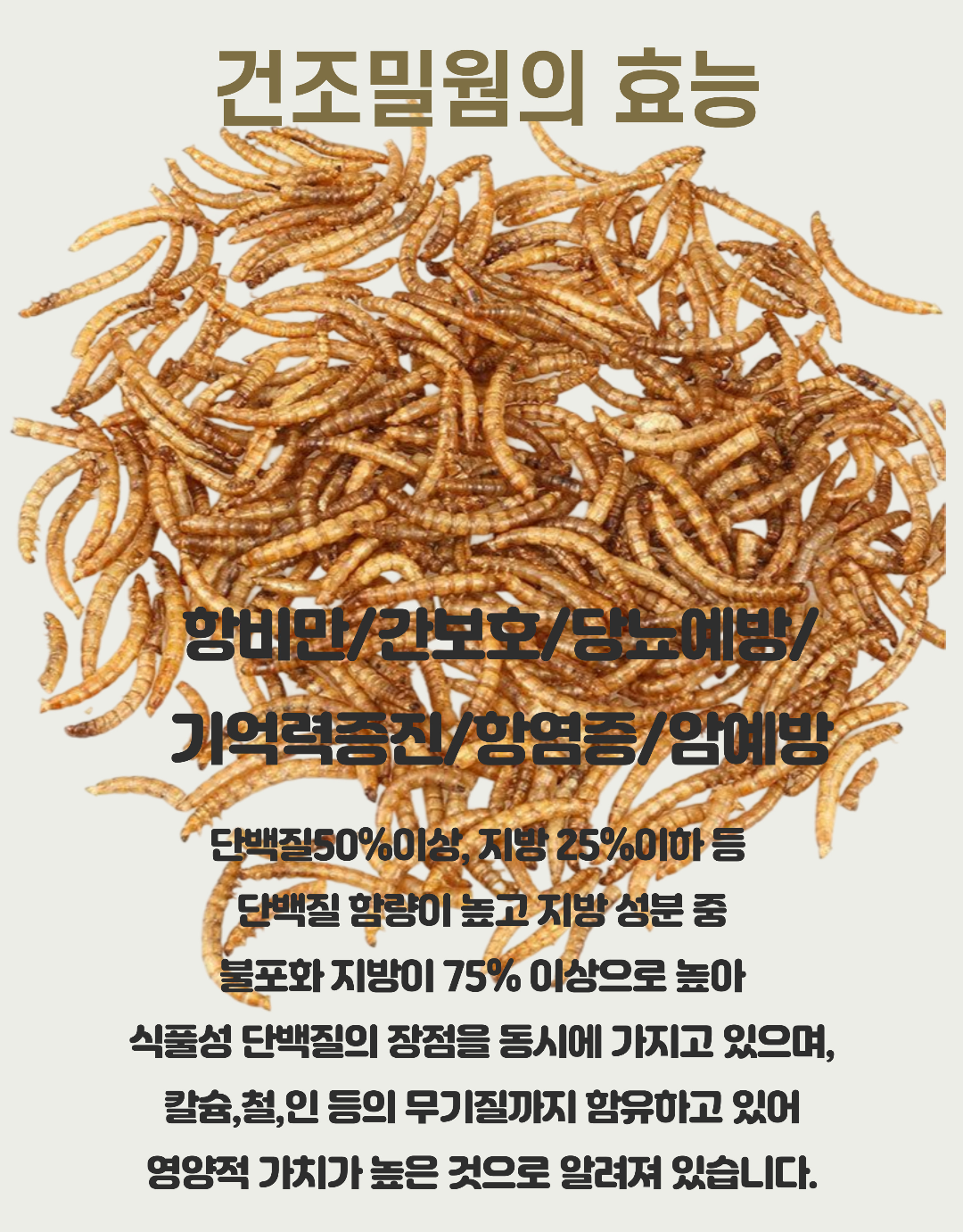 펫마인 건조 밀웜, 햄스터, 고슴도치, 도마뱀, 앵무새, 슈가글라이더, 500g, 1개 상세 이미지 2