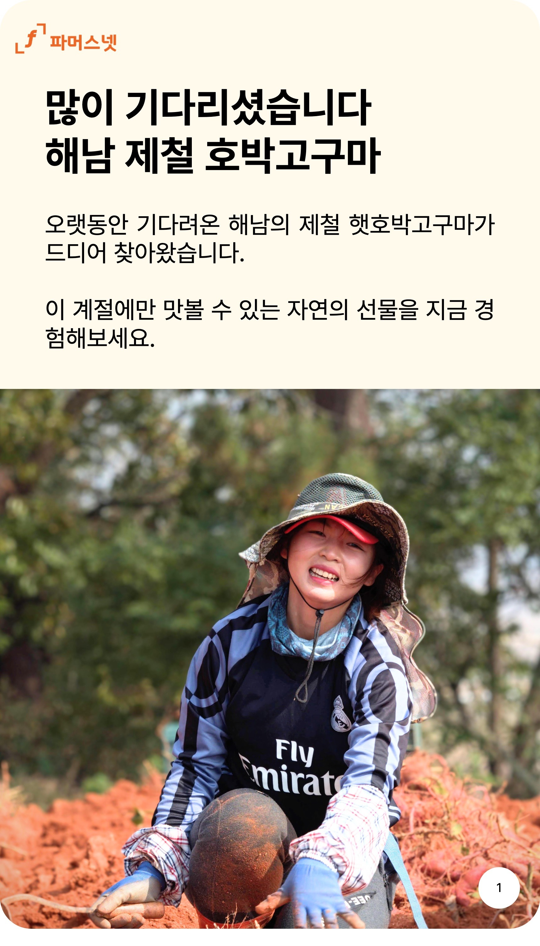파머스넷 호박고구마 한입 5kg 구매 전 확인해야 할 3가지 기준 3