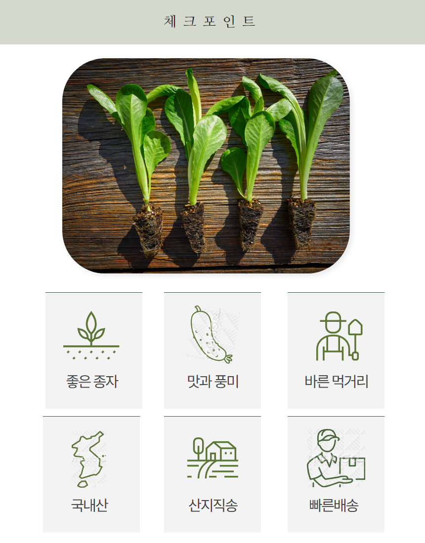 로메인 청상추, 1kg, 1박스 상세 이미지 3
