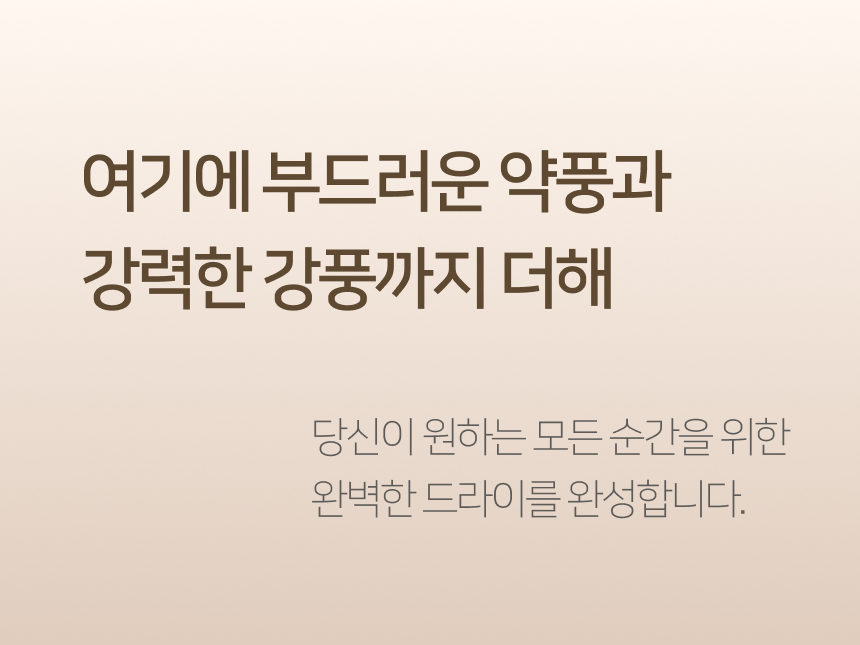휴스톰 이오닉 플라즈마 드라이기, BLDC-SB, 베이지, 거치대포함, 1세트 상세 이미지 4