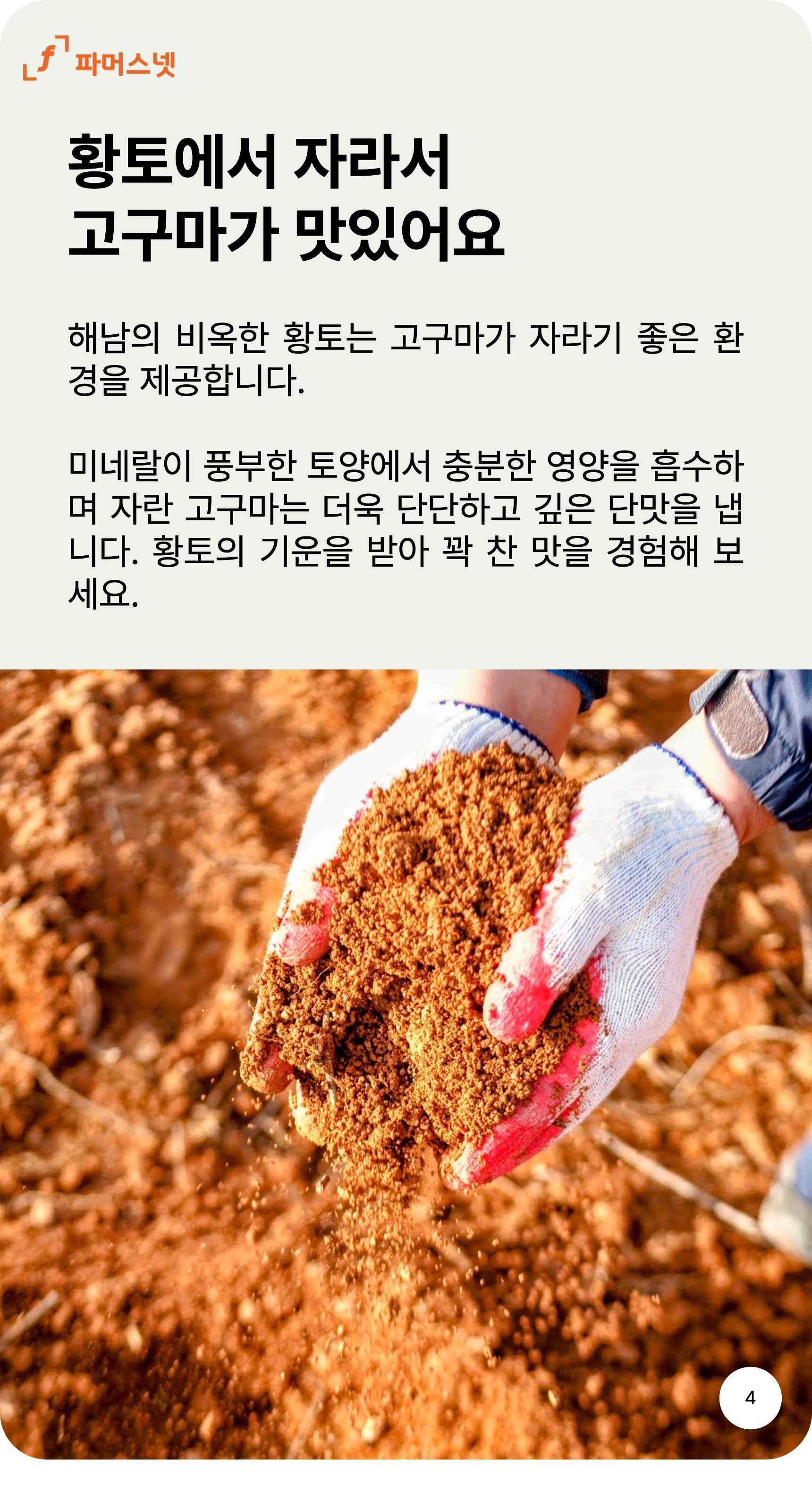 파머스넷 해남 꿀고구마, 한입, 5kg, 1박스