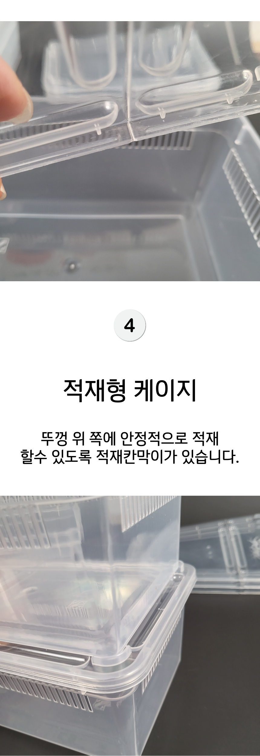 하루이오 파충류 크레스티드 게코 도마뱀 사육장 H9, 중형 상세 이미지 5