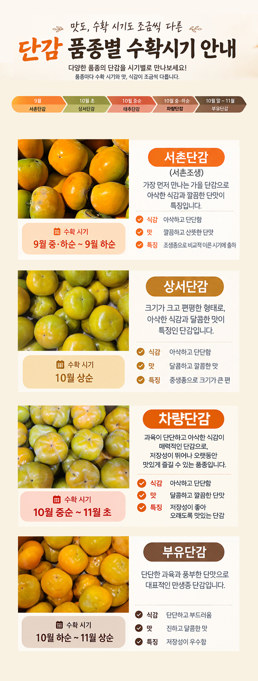 국내산 서촌단감, 가정용, 2kg, 1박스 상세 이미지 3