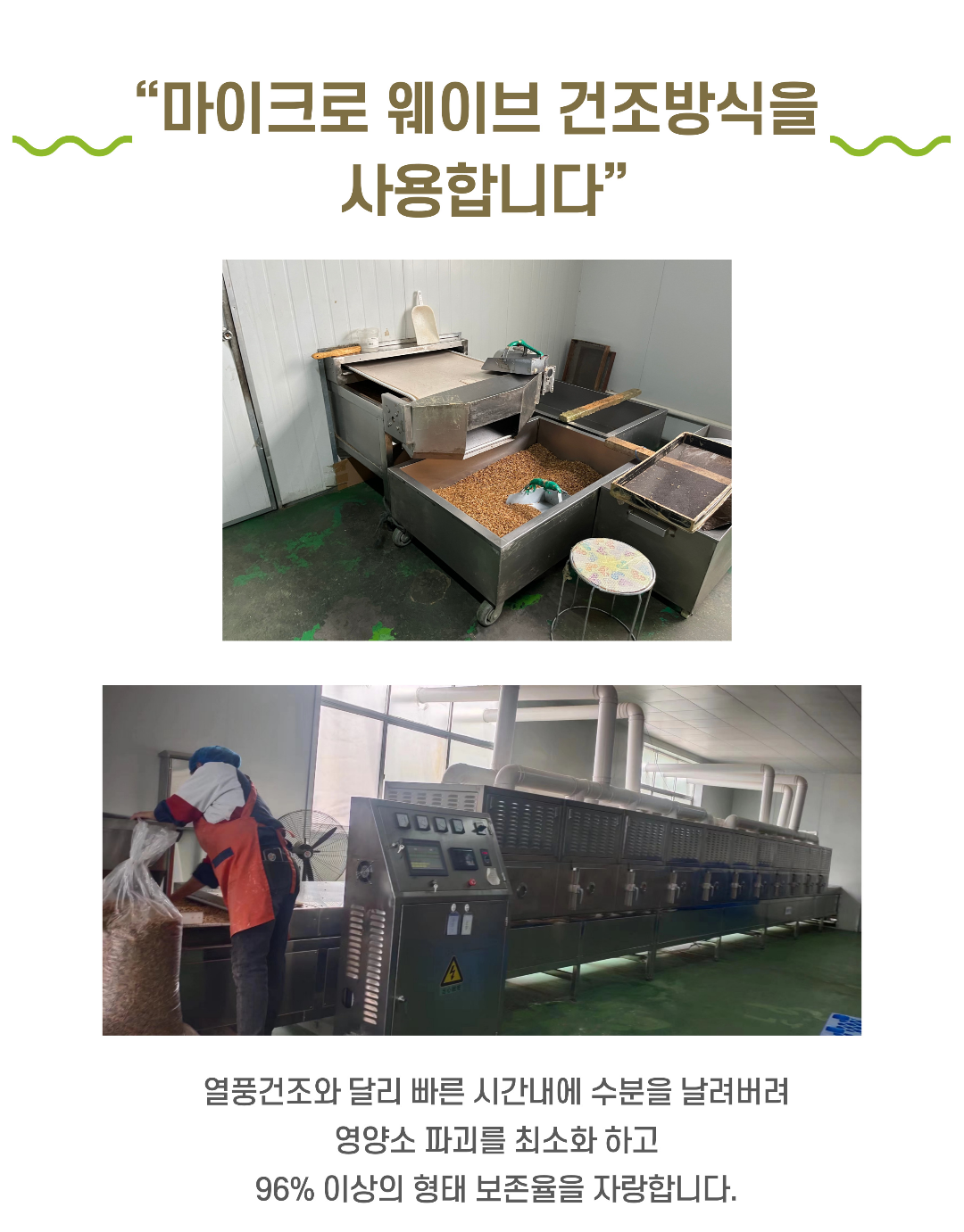 펫마인 건조 밀웜, 햄스터, 고슴도치, 도마뱀, 앵무새, 슈가글라이더, 500g, 1개 상세 이미지 3