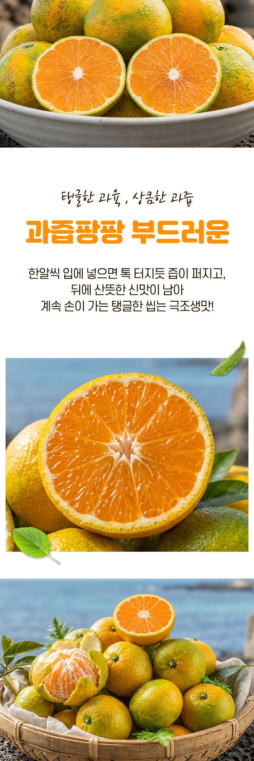 제주 서귀포 노지 감귤 극조생귤, 5kg, 1박스 상세 이미지 6