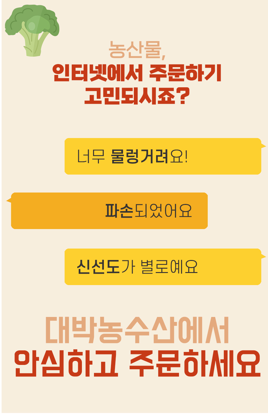 대박농수산 제주 햇 브로콜리, 특품, 1kg, 1박스