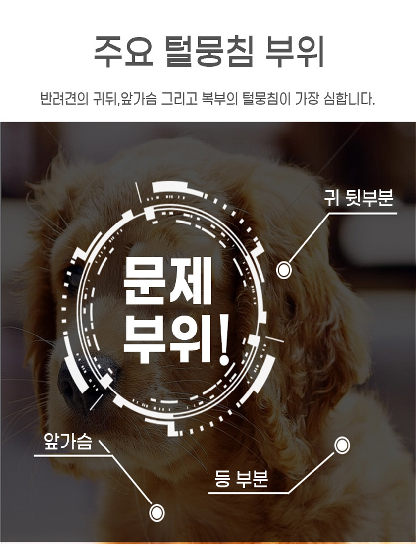 애견 오픈 빗, 블루, 1개 상세 이미지 2