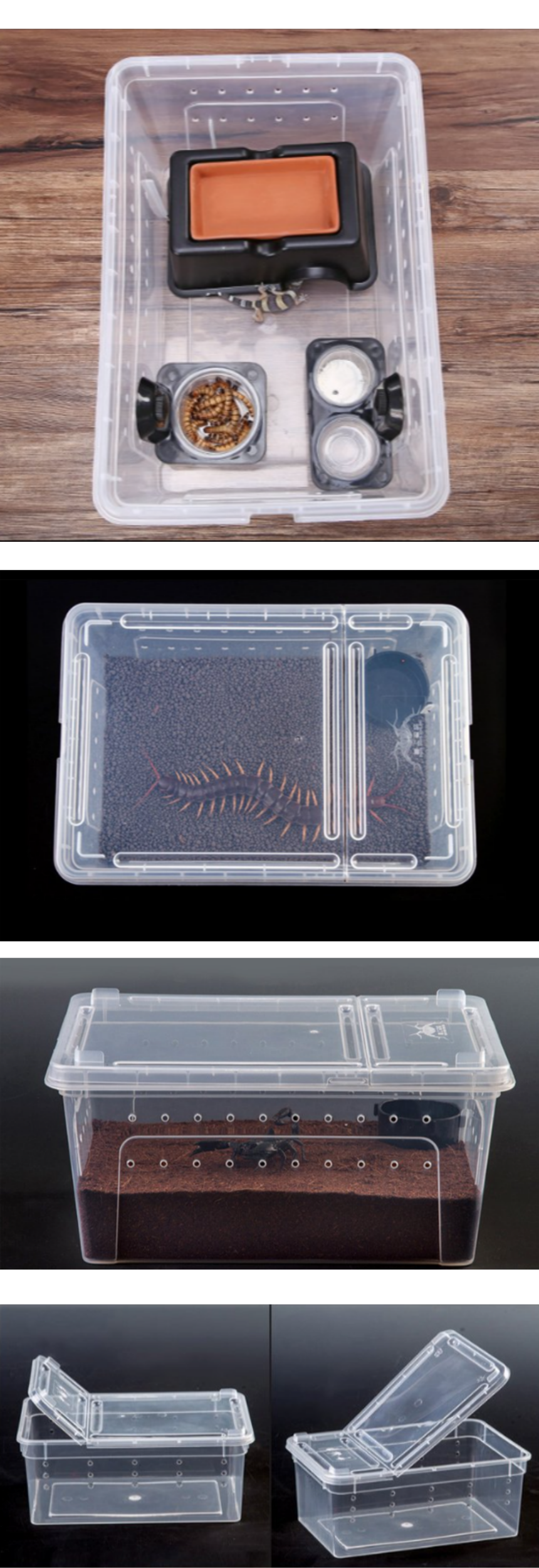 크레스티드 게코 거북이 도마뱀 사육장, 반투명, 대형, 1개 상세 이미지 2