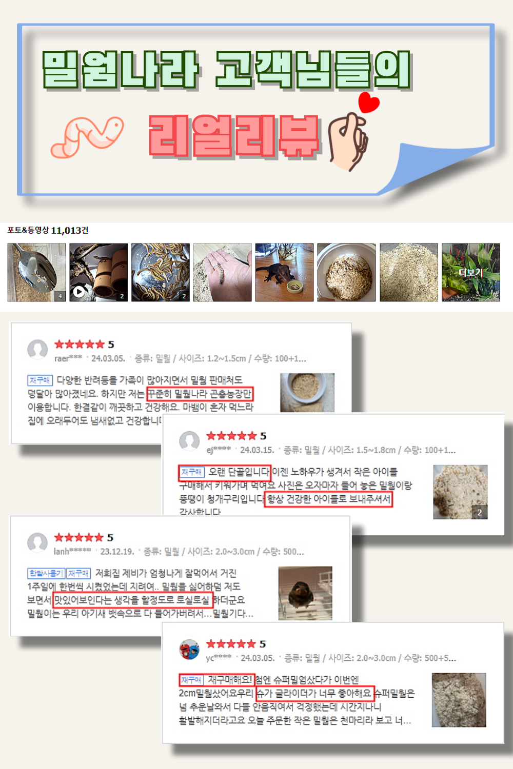 살아있는 밀웜 반려동물 먹이 극소 100+100, 밀웜,극소 0.3-0.8cm, 300+300마리 상세 이미지 3
