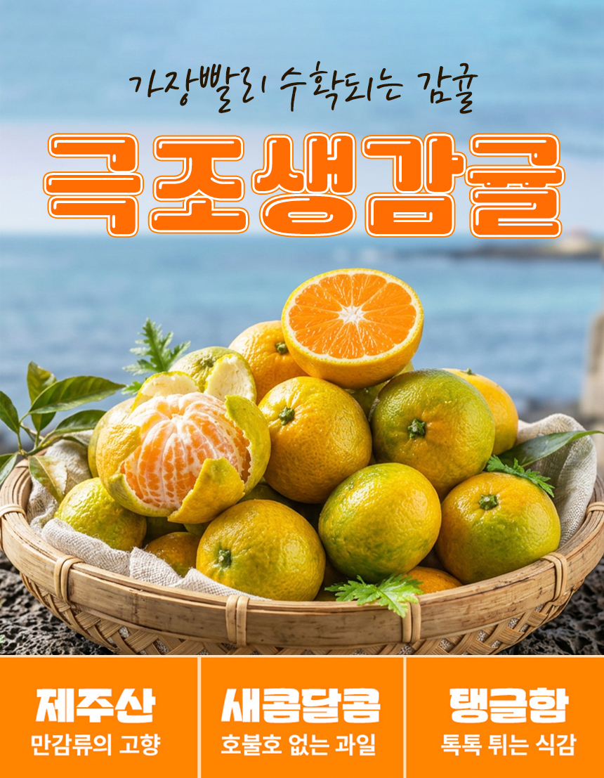 제주 서귀포 노지 감귤 극조생귤, 5kg, 1박스 상세 이미지 3