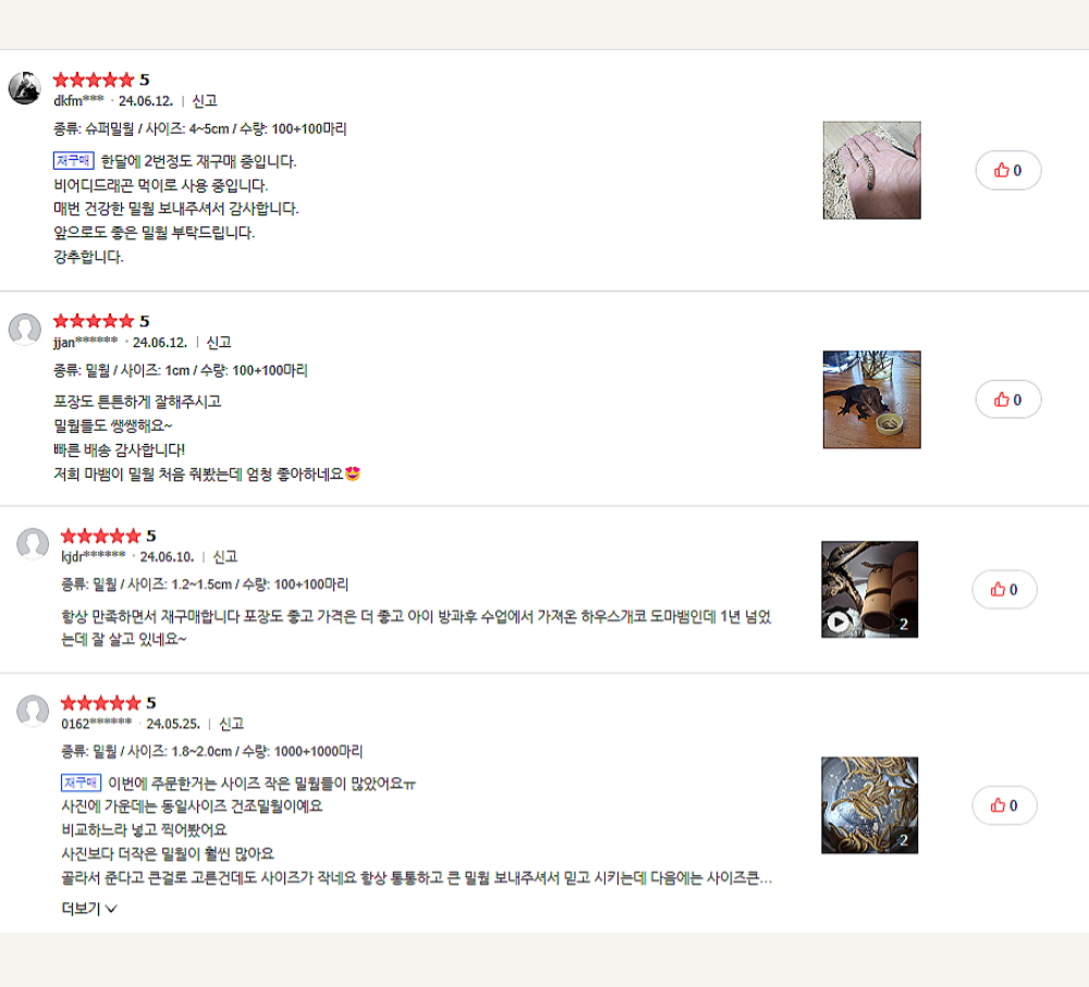 살아있는 밀웜 반려동물 먹이 극소 100+100, 밀웜,극소 0.3-0.8cm, 300+300마리 상세 이미지 4