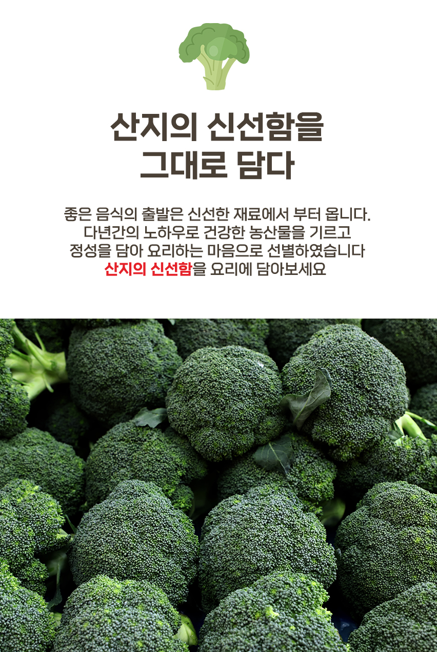 대박농수산 제주 햇 브로콜리, 특품, 1kg, 1박스