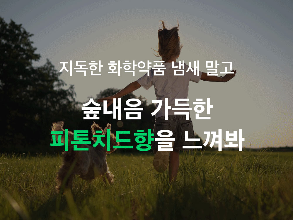 펫케아 강아지 탈취제 피톤치드 천연 스프레이, 공병, 4L, 1개 상세 이미지 1