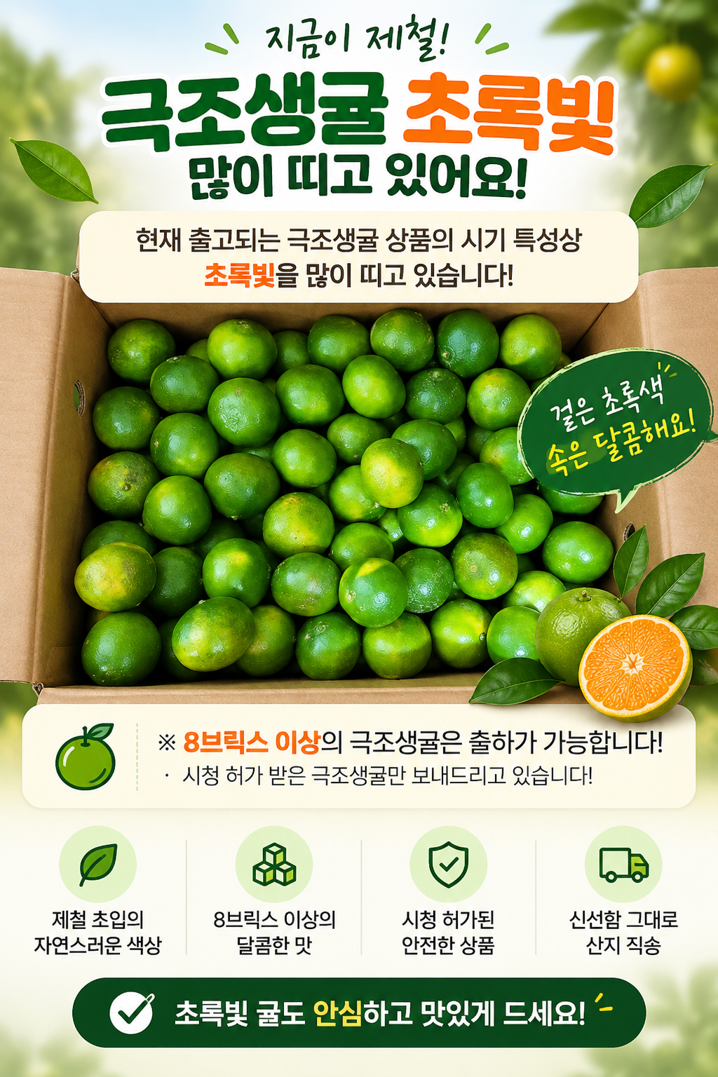 제주 서귀포 노지 감귤 극조생귤, 5kg, 1박스 상세 이미지 2