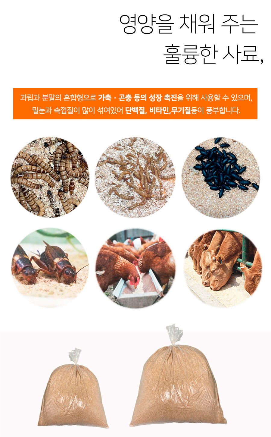 밀기울 - 밀웜(고소애) 먹이 / 각종 곤충먹이, 1kg + 1kg 상세 이미지 4
