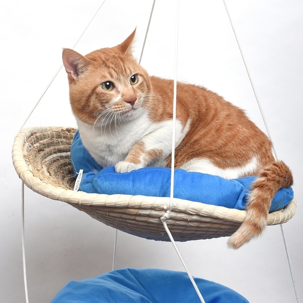 고양이 2단 해먹, 1개