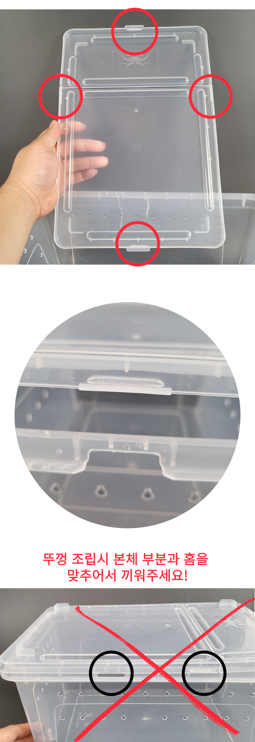 크레스티드 게코 거북이 도마뱀 사육장, 반투명, 대형, 1개 상세 이미지 6