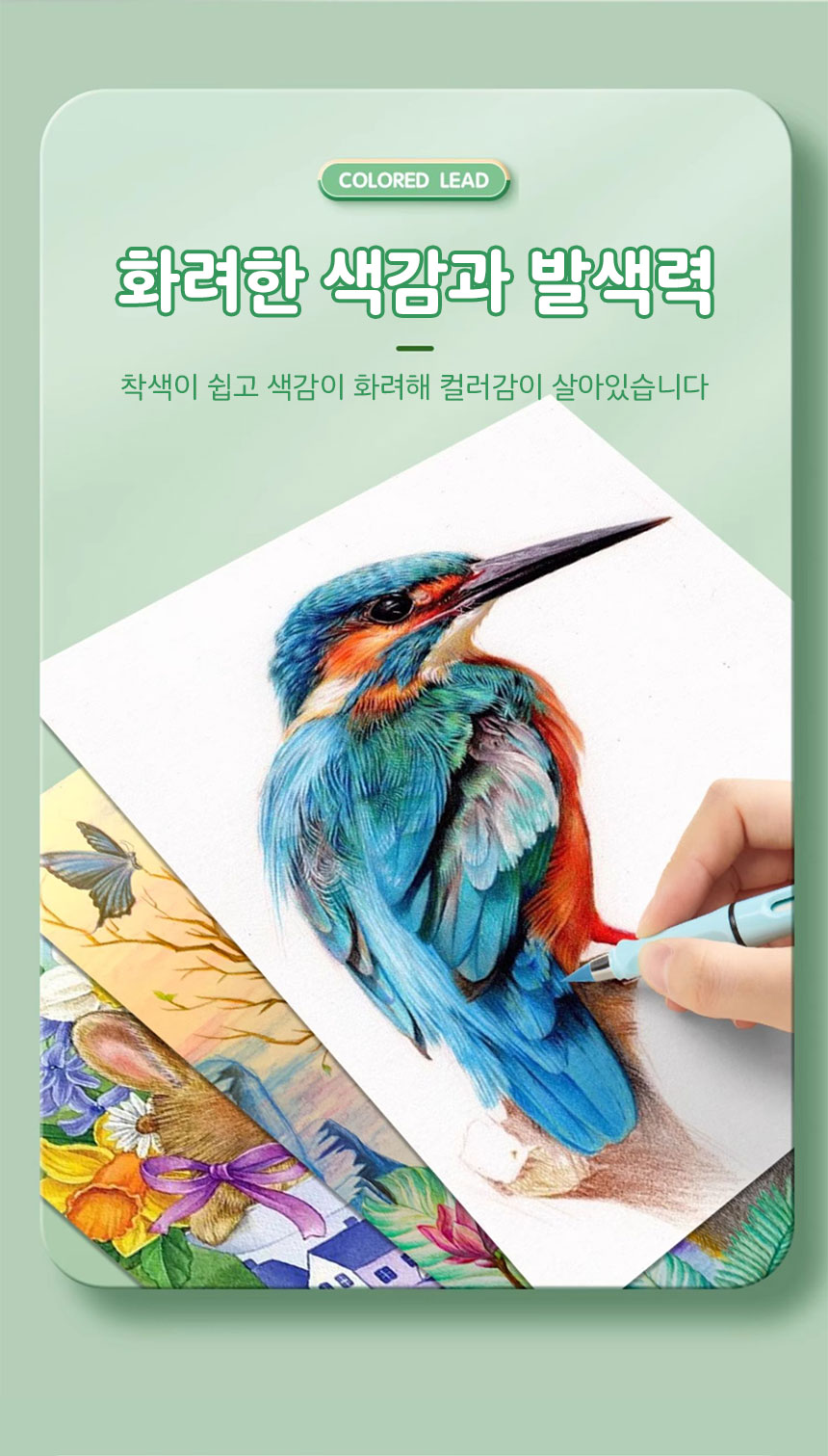 fooi NEW 깎지않는 색연필 12색 리필심 증정, 색연필 + 리필심 12색 상세 이미지 10