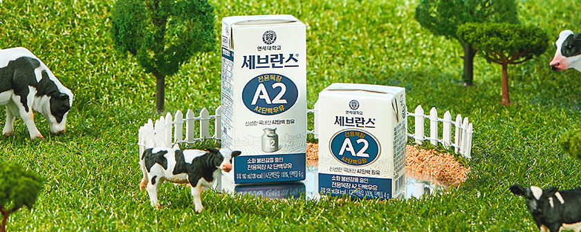 연세유업 전용목장 A2 단백우유, 180ml, 24개
