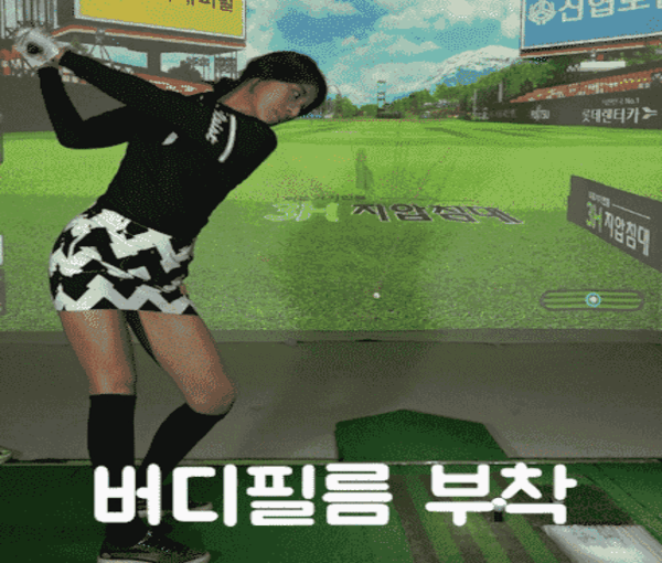 어썸샷 버디필름, 투명, 드라이버용, 1개 상세 이미지 5