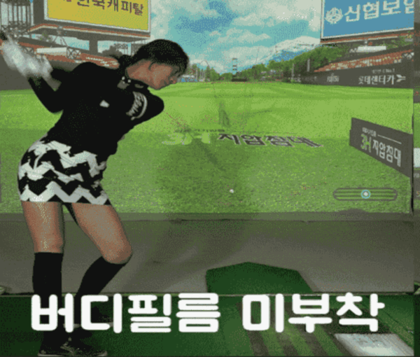 어썸샷 버디필름, 투명, 드라이버용, 1개 상세 이미지 4