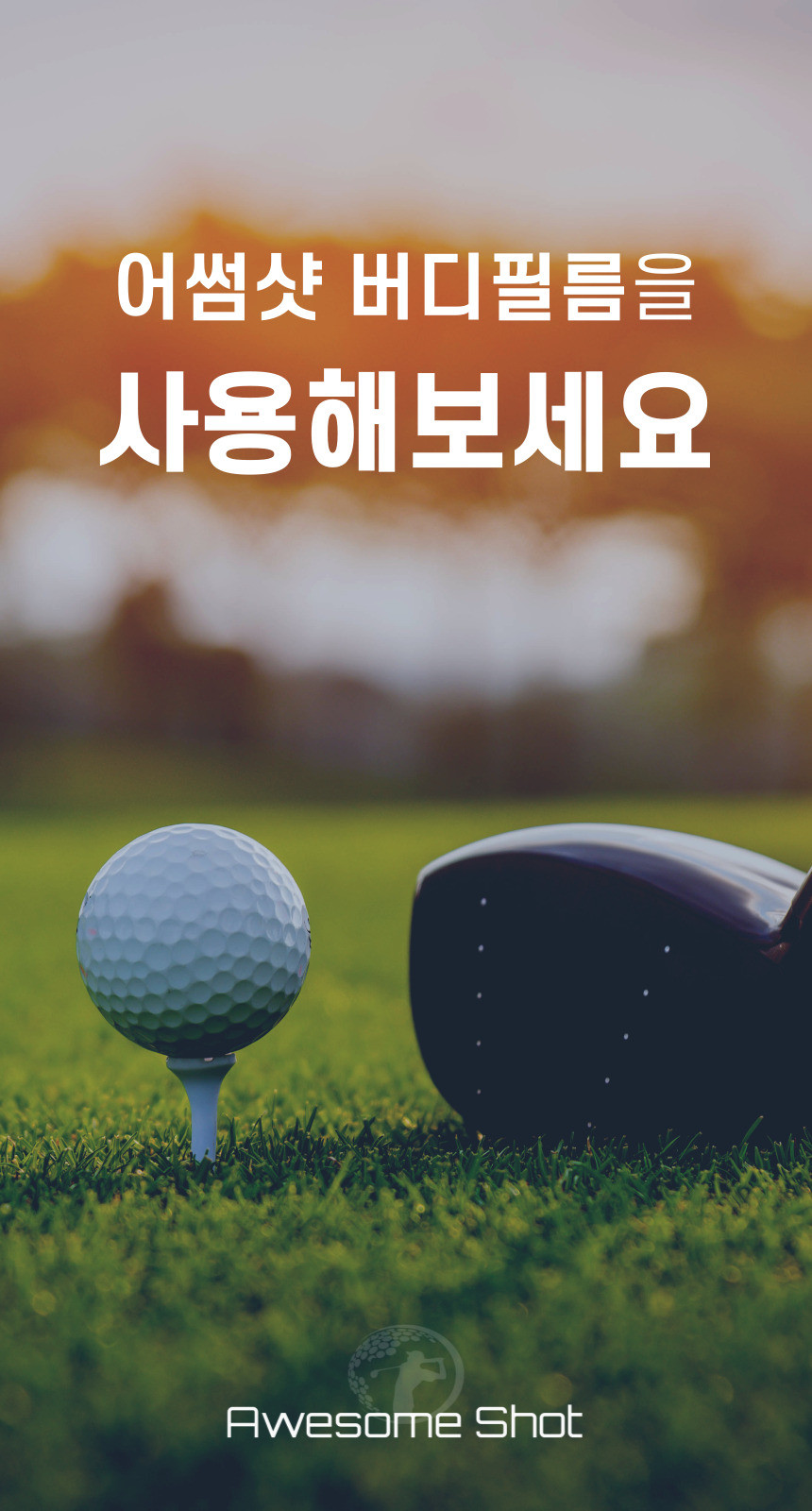 어썸샷 버디필름, 투명, 드라이버용, 1개 상세 이미지 2