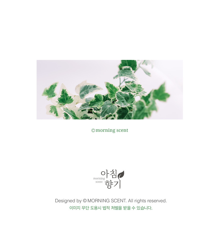 상세 이미지
