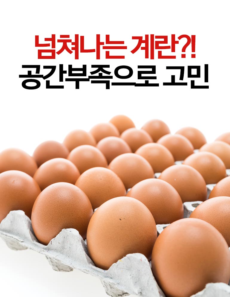 스마트 30구 자동 에그트레이, 투명, 1개 상세 이미지 4