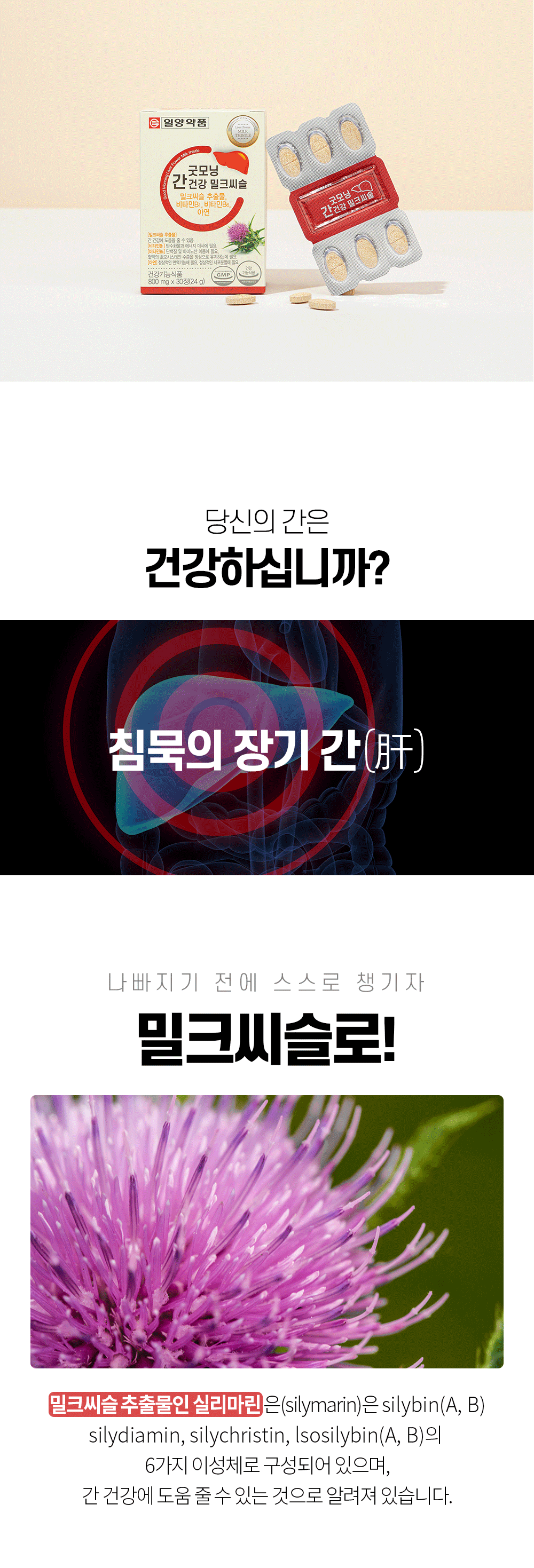 일양약품 굿모닝 간건강 밀크씨슬, 800mg, 30정, 2박스