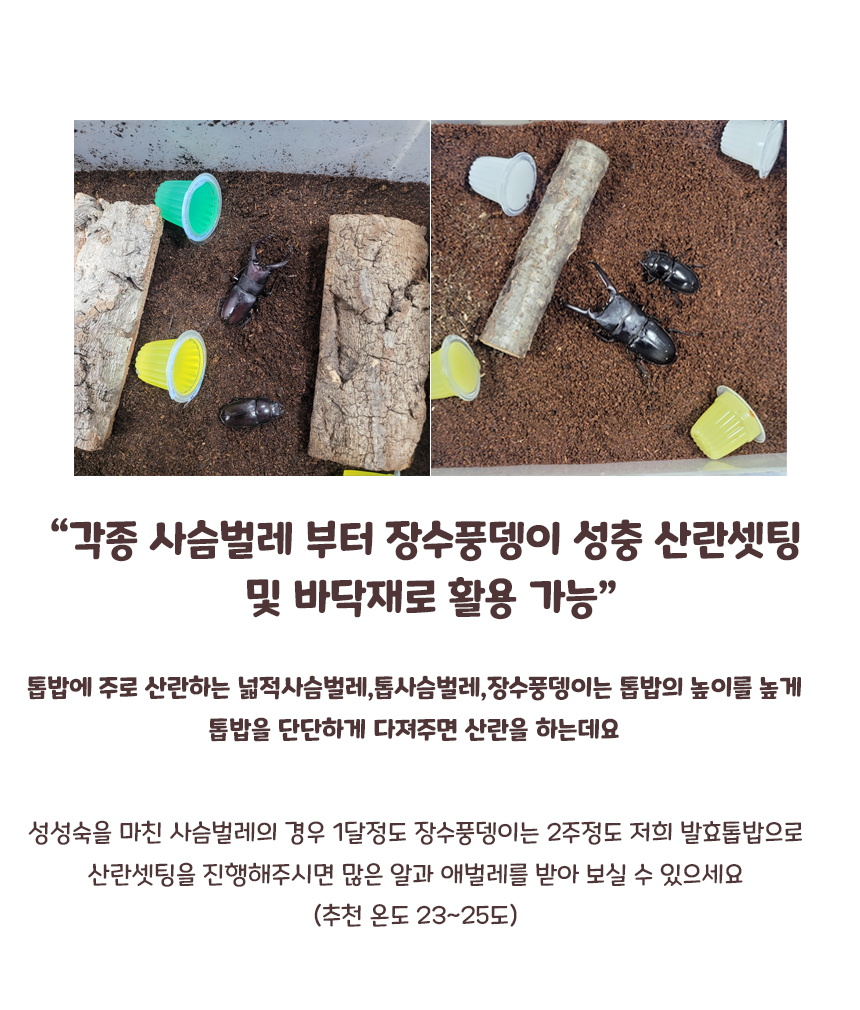 발효톱밥, 사슴벌레, 장수풍뎅이 전용, 프리미엄, 5.5L, 가로 30cm 세로 35cm, 1개 상세 이미지 3