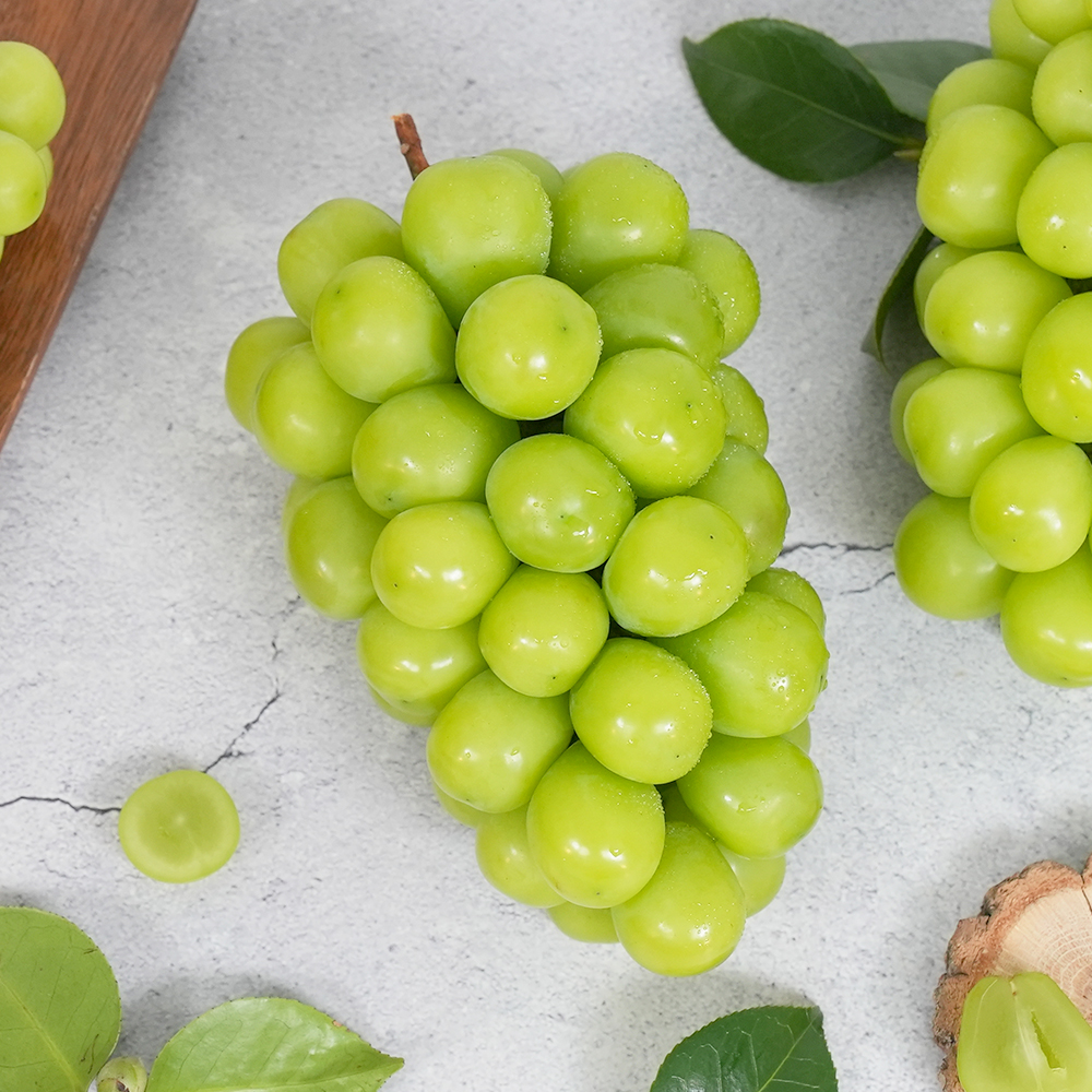샤인머스켓 씨없는 망고포도, 실속형, 2-4수, 1.5kg, 1개