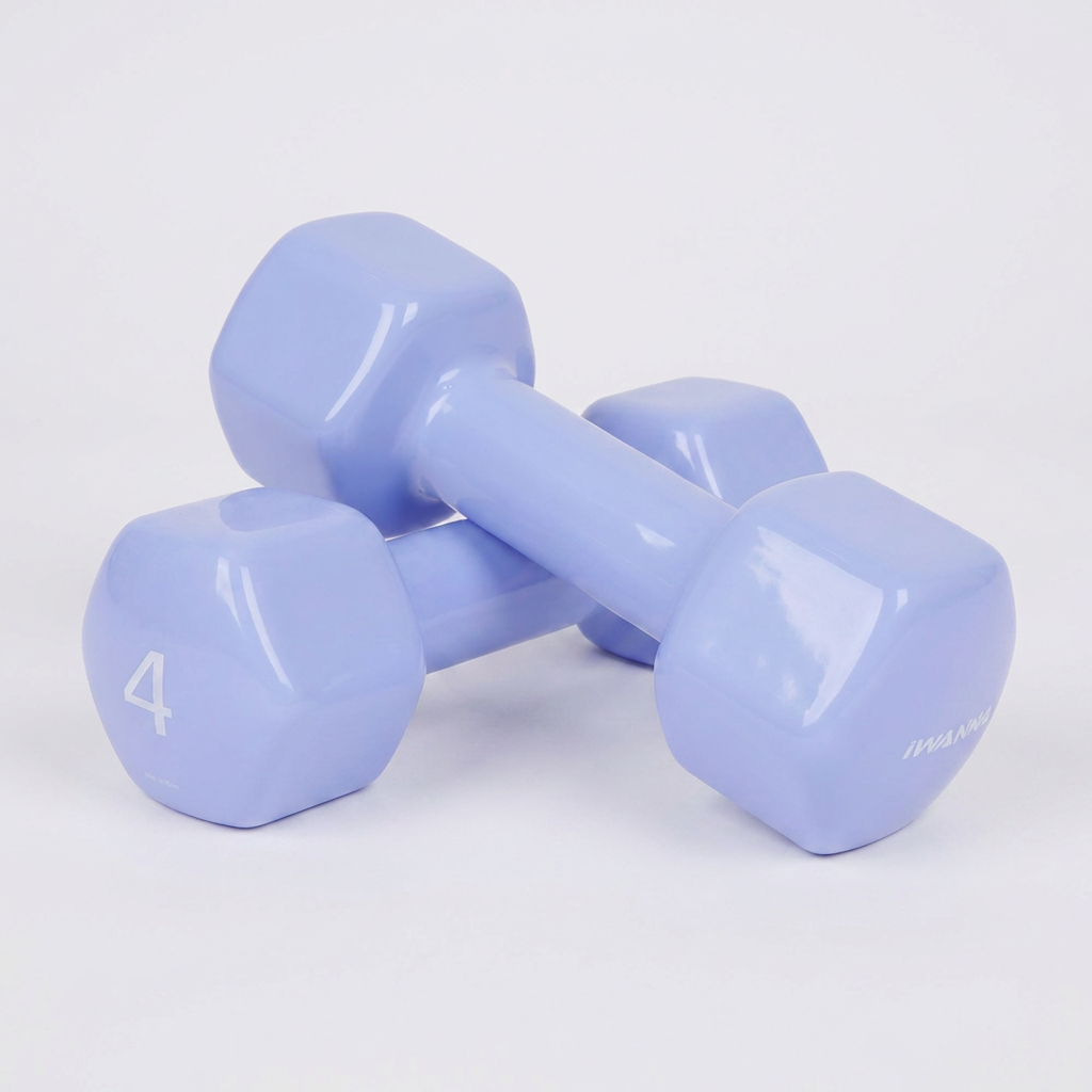 아이워너 뷰티 육각 덤벨, 4kg, 2개