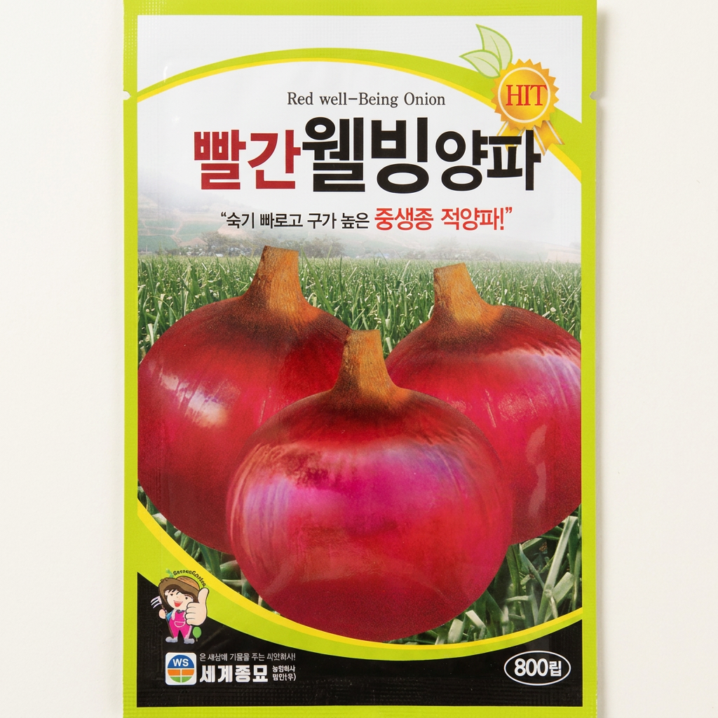 세계종묘 빨간웰빙양파, 800립, 1개