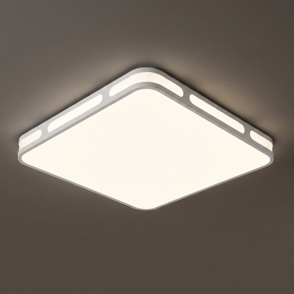 LED 자이 방등 50W, 화이트