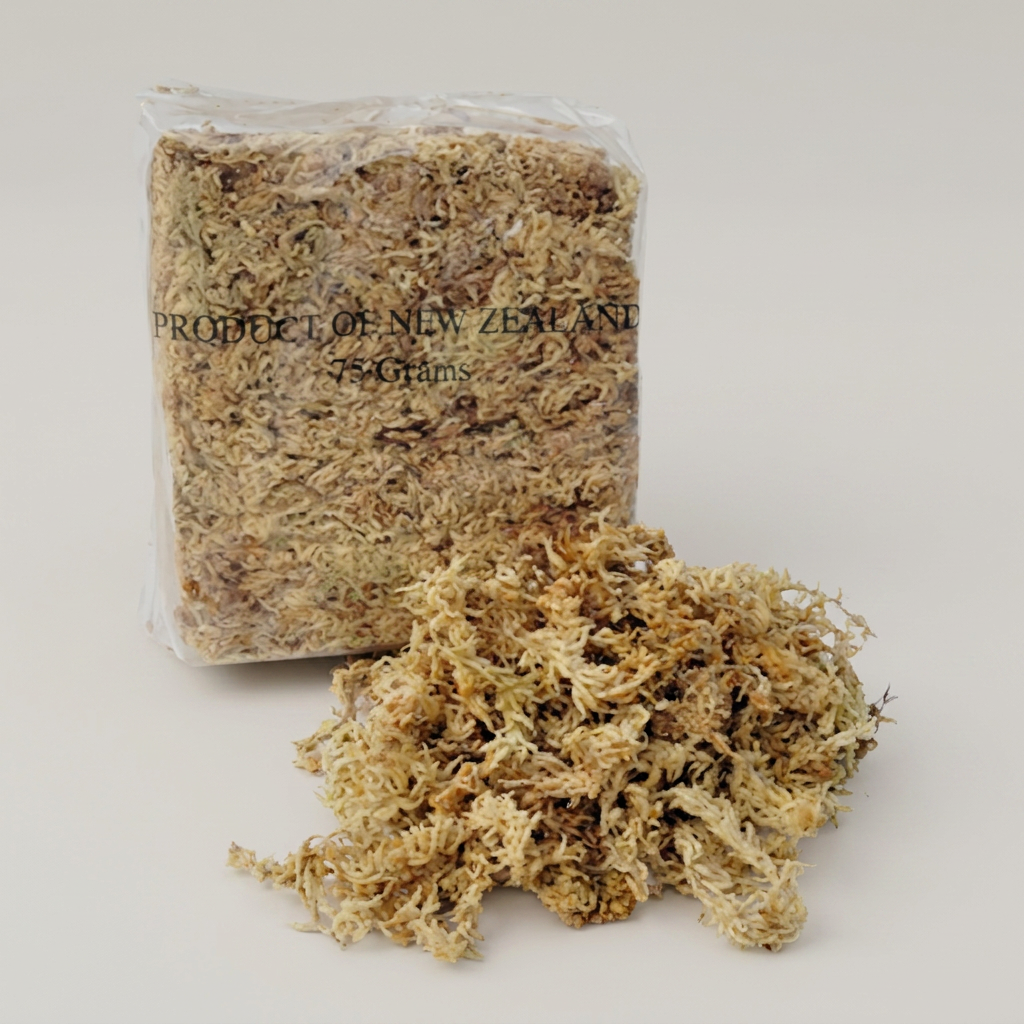 뉴질랜드 수태, 75g, 1개