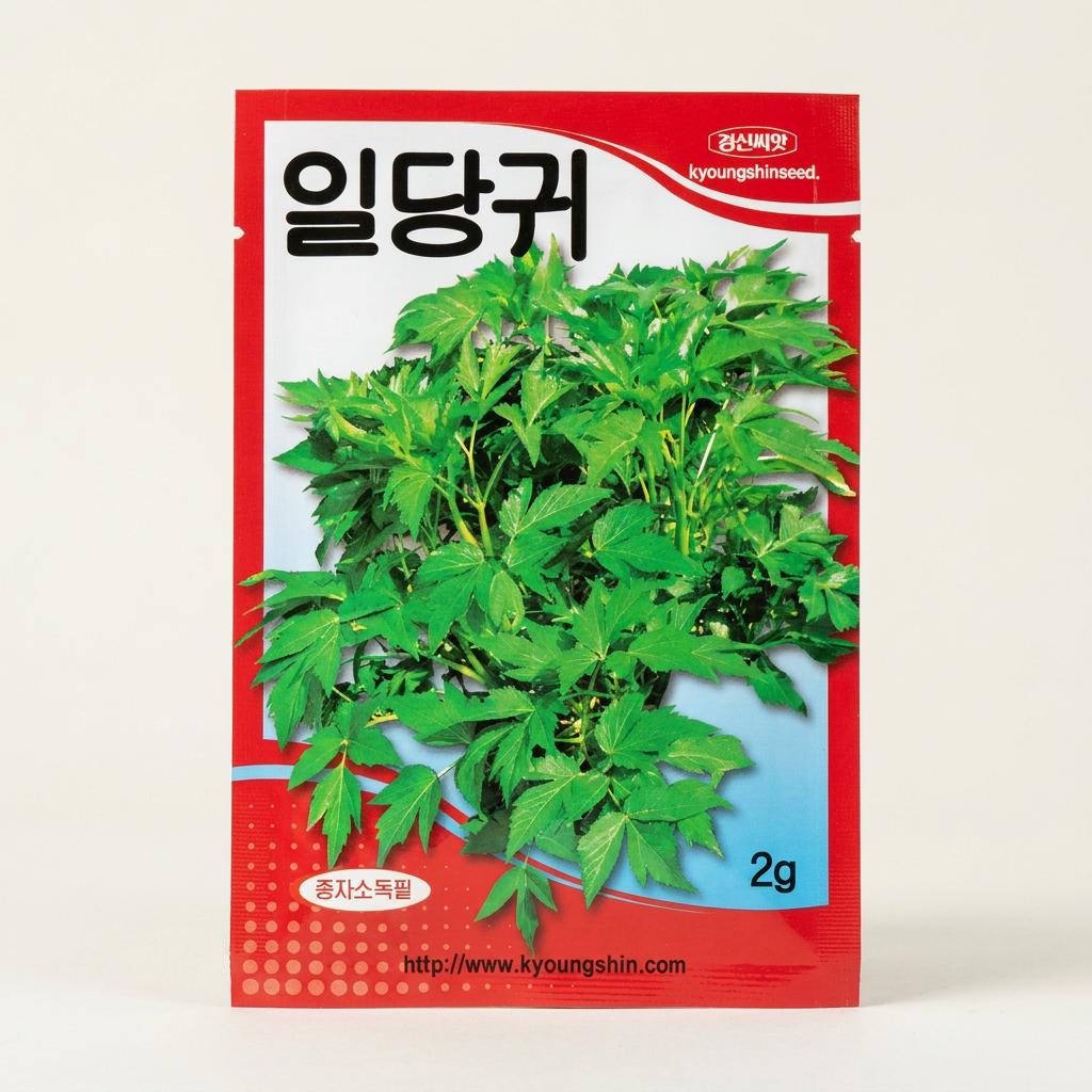 경신종묘 일당귀, 2g, 1개