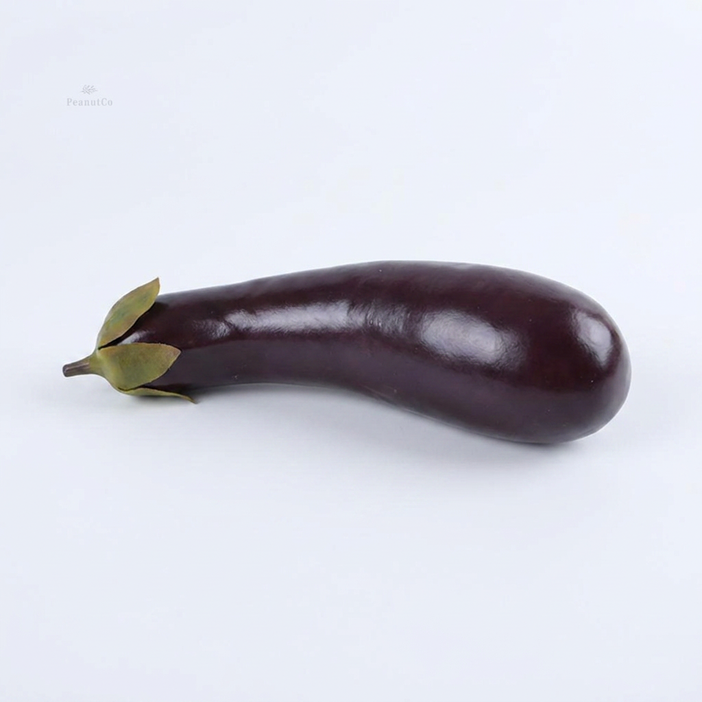 채소 모형, 가지, 1개