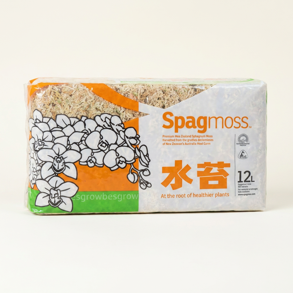 뉴질랜드 수태 물이끼 토피어리, 2A, 150g, 1개
